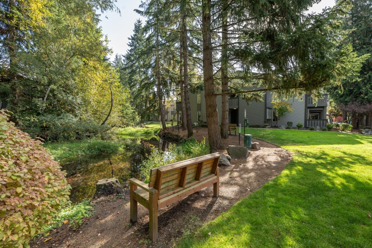 Vue Kirkland — image 2